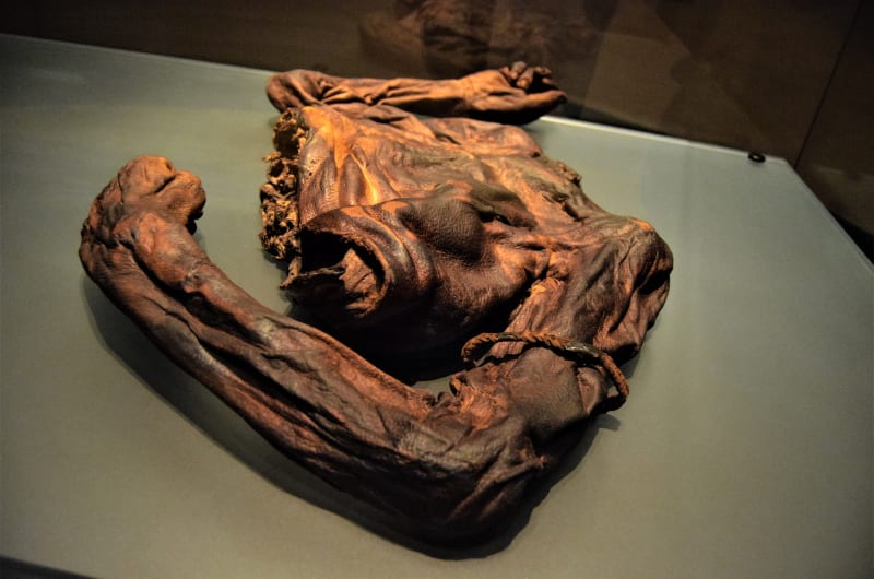 Preserved Bog Body Torso With Braided Armband wffhde
