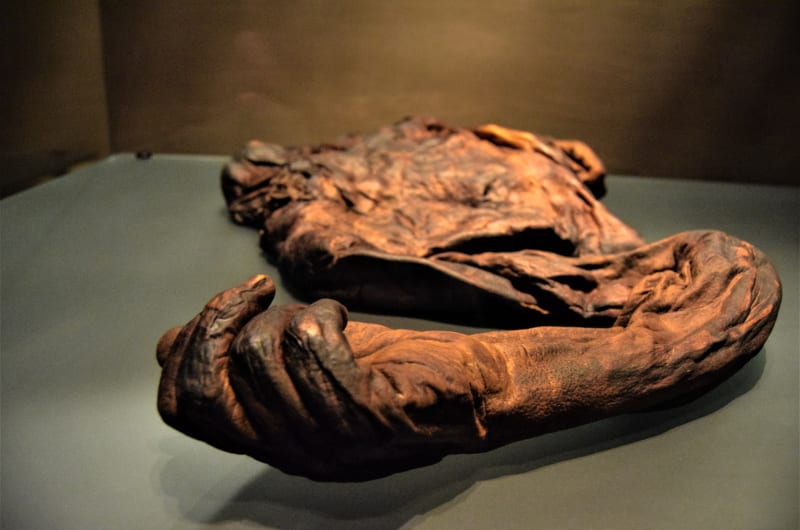 Preserved human hand and arm of bog body rtx3u9