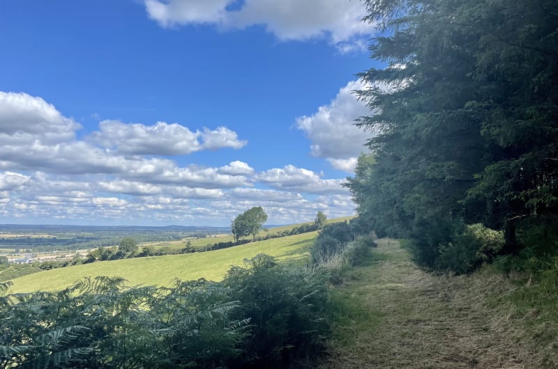 Rolling green hills under blue cloudy sky meci3z