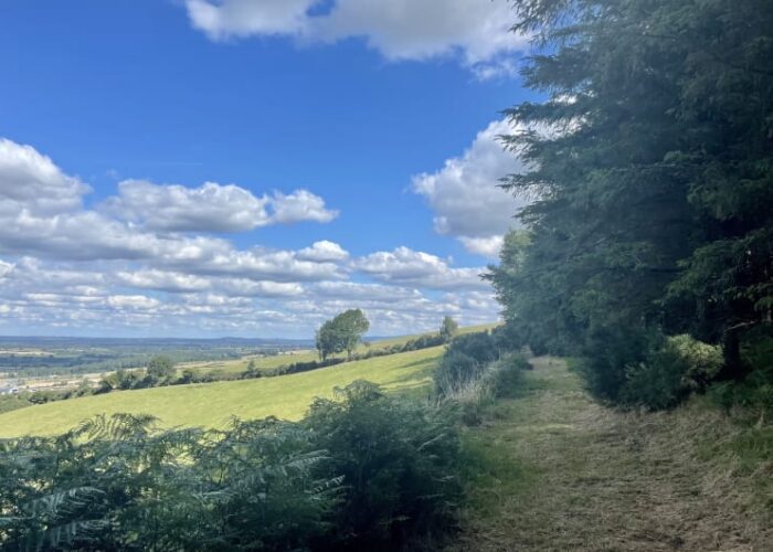 Rolling green hills under blue cloudy sky meci3z