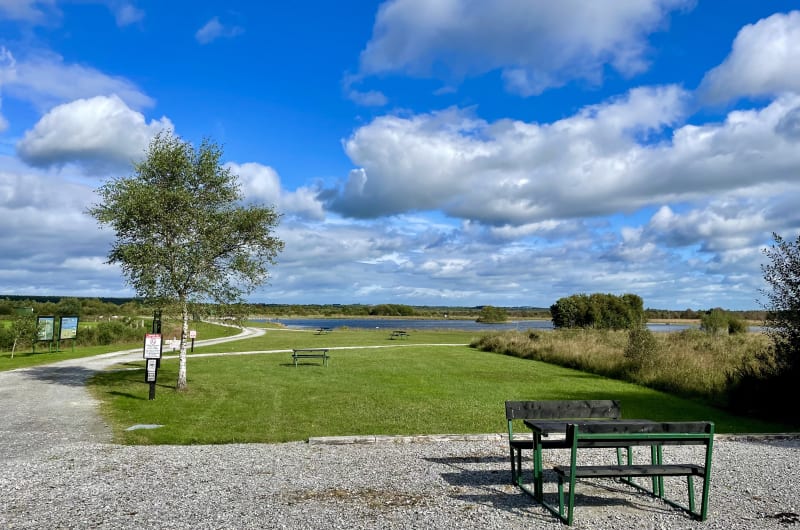 Scenic Park With Picnic Tables And Lake gprvlv