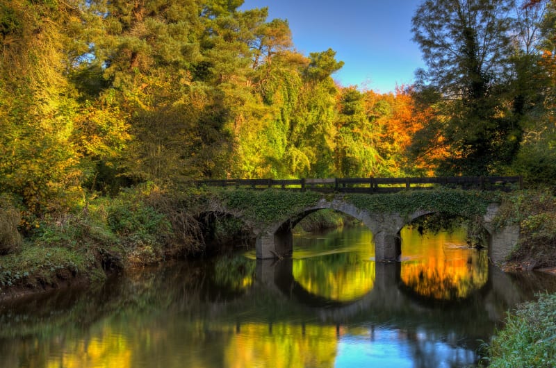 Stone arched bridge over river with autumn foliage vqk2my