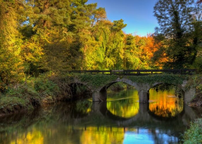 Stone arched bridge over river with autumn foliage vqk2my
