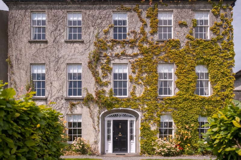 Three Story House Facade Covered In Green Ivy ohkaes