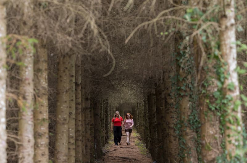 Two people walking on a forest path afxsze