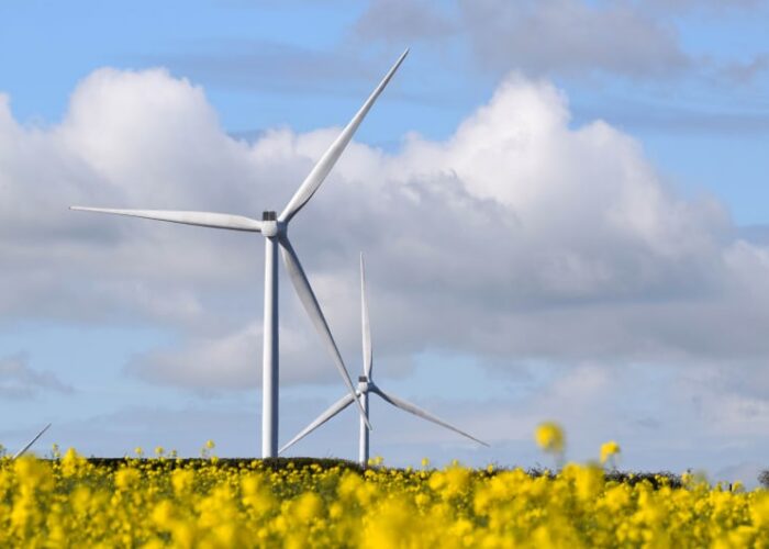 Wind Turbines Behind A Yellow Rapeseed Field mmsjew