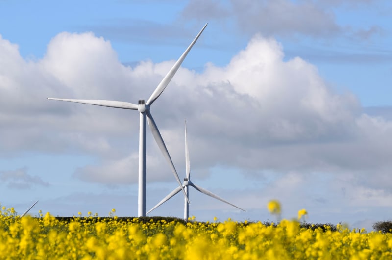Wind Turbines Behind A Yellow Rapeseed Field mmsjew
