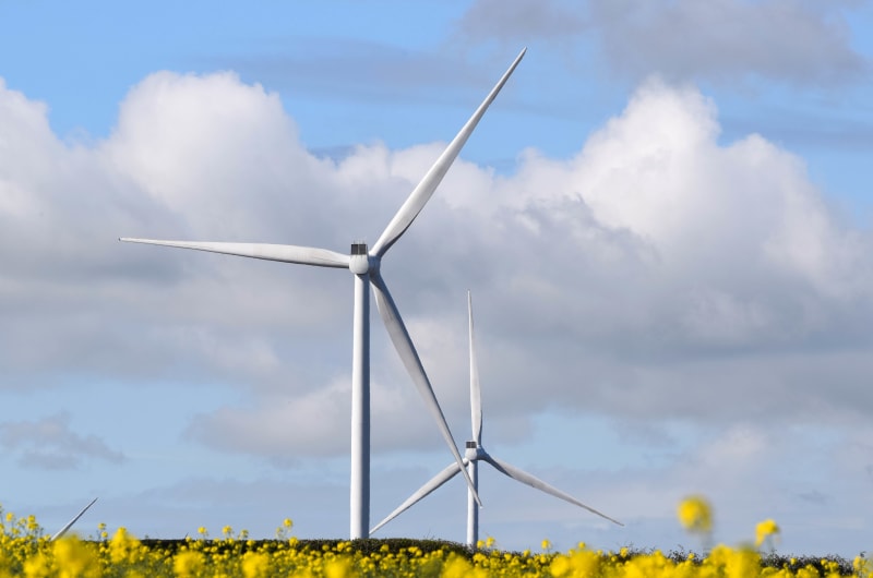 Wind turbines in yellow flower field under clouds