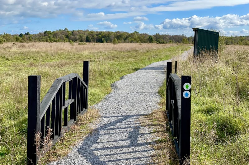 Winding Gravel Path Through Moorland With Wooden Bridge rjvxo7