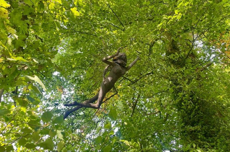 Wire Mesh Figure Sculpture Hanging In Tree Canopy olmzy5