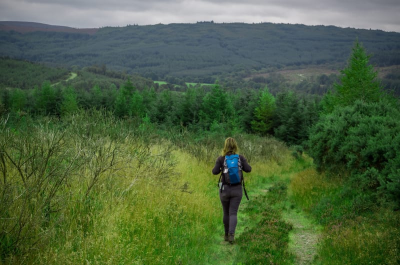 Woman hiking through a green forest trail zvv7zq