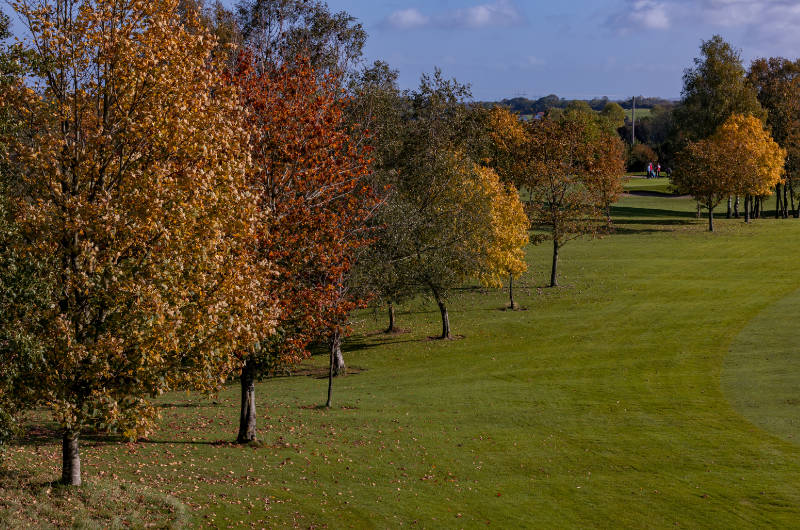 birr golf autunm trees