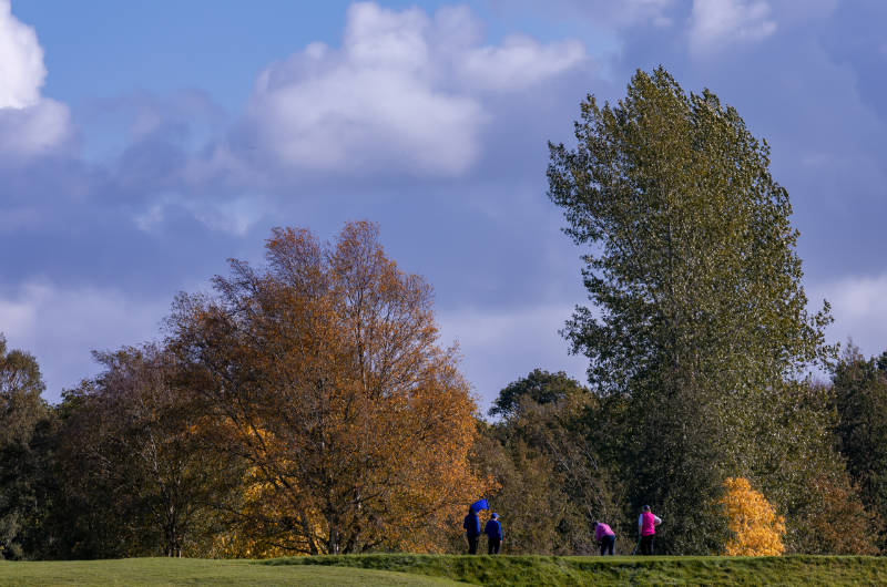 birr golf golfers trees