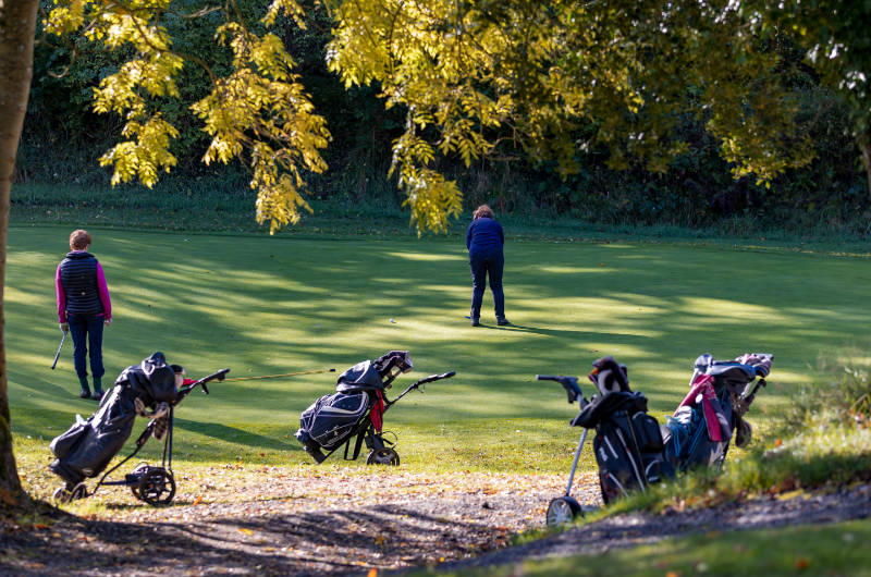 birr golf people playing golf caddys