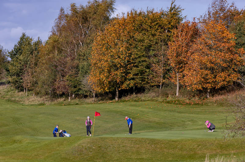 birr golf people playing on green by trees
