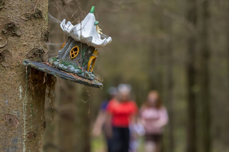 little house on a tree with people blurred in background
