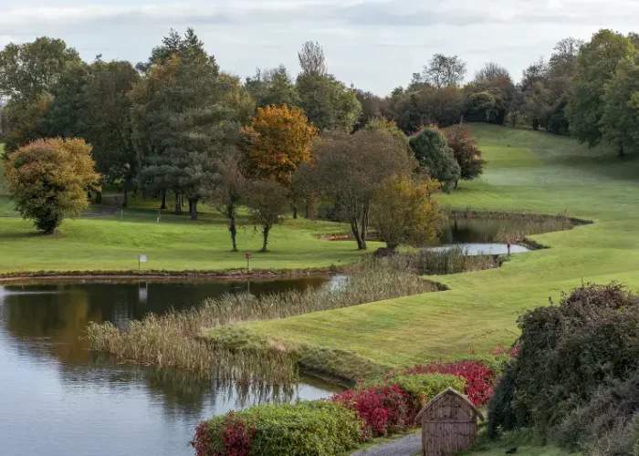view of golf course pond