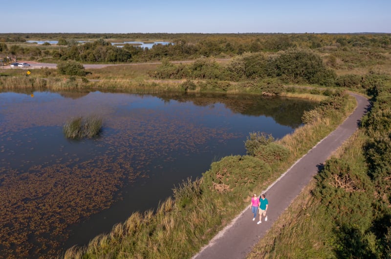 Couple Walking On Path Beside Lake And Wetlands a2yzjp