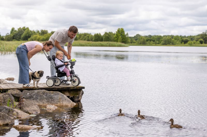 Family With Dog Watching Ducks On Lake Pier l0qjk4