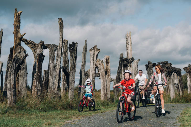 Family cycling past weathered wooden posts on path qkbmd0