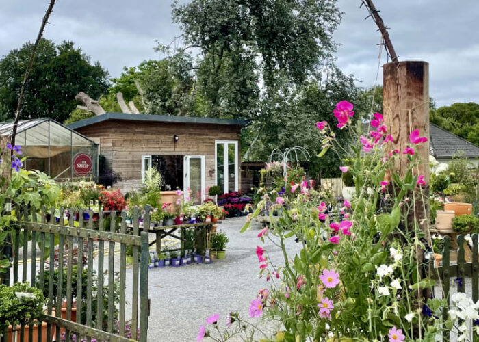 Garden Center Entrance With Pink Flowers And Shop