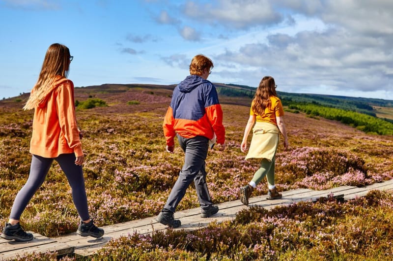 Hikers on wooden boardwalk through purple heather hills a6s67c