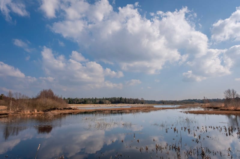 Lake landscape with reflections under a cloudy sky bhipjv