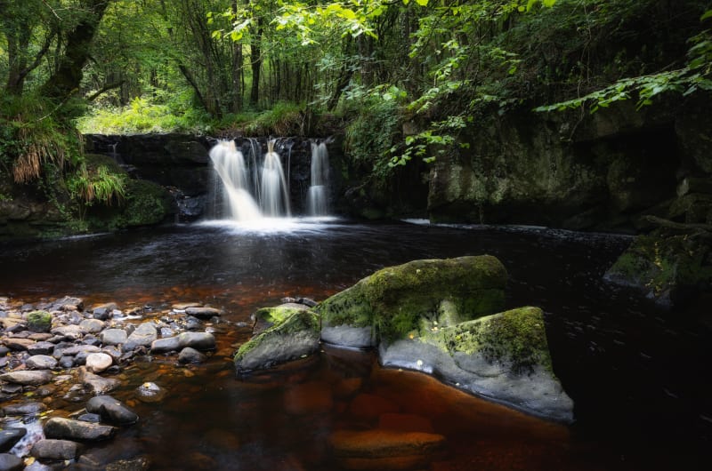 Small Waterfall In Lush Forest With Rocks ejgq7s