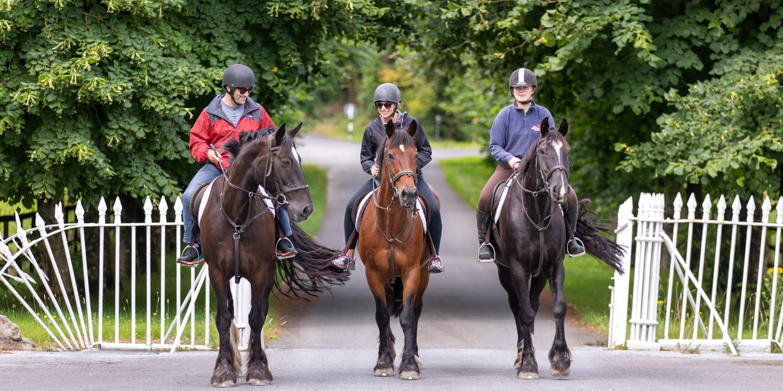 Three people riding horses through a white gate