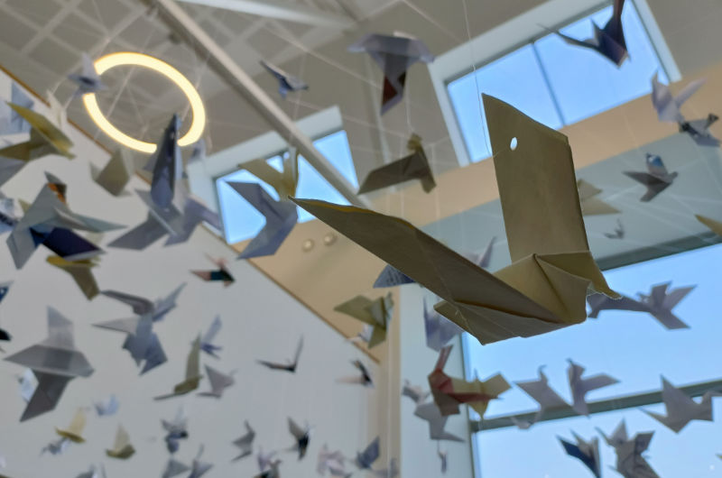 art exhibt of origami birds
