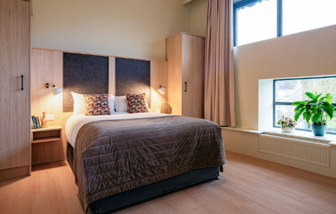 bedroom with large windows plant