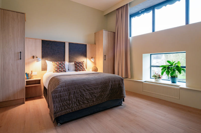 bedroom with large windows plant