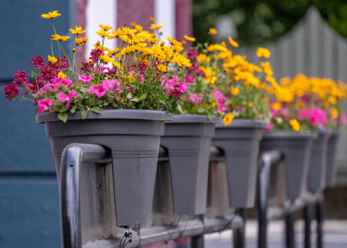 grey flower pots on street
