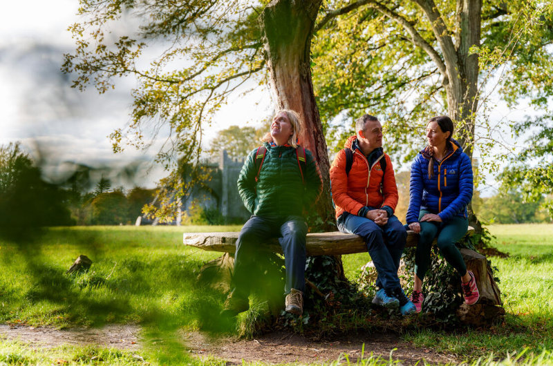 group relaxing under a tree