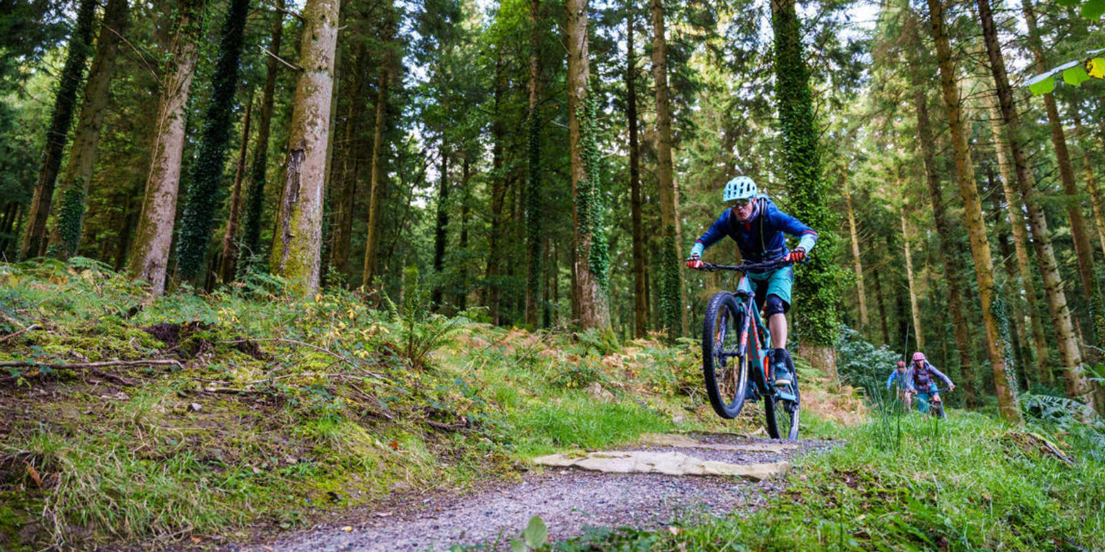 mountain bikes on dirt tracks through forest
