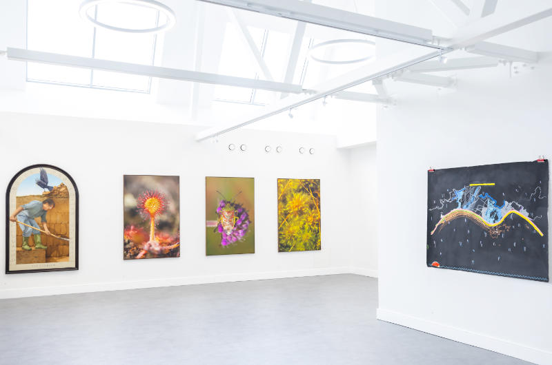 white art gallery walls with hung paintings