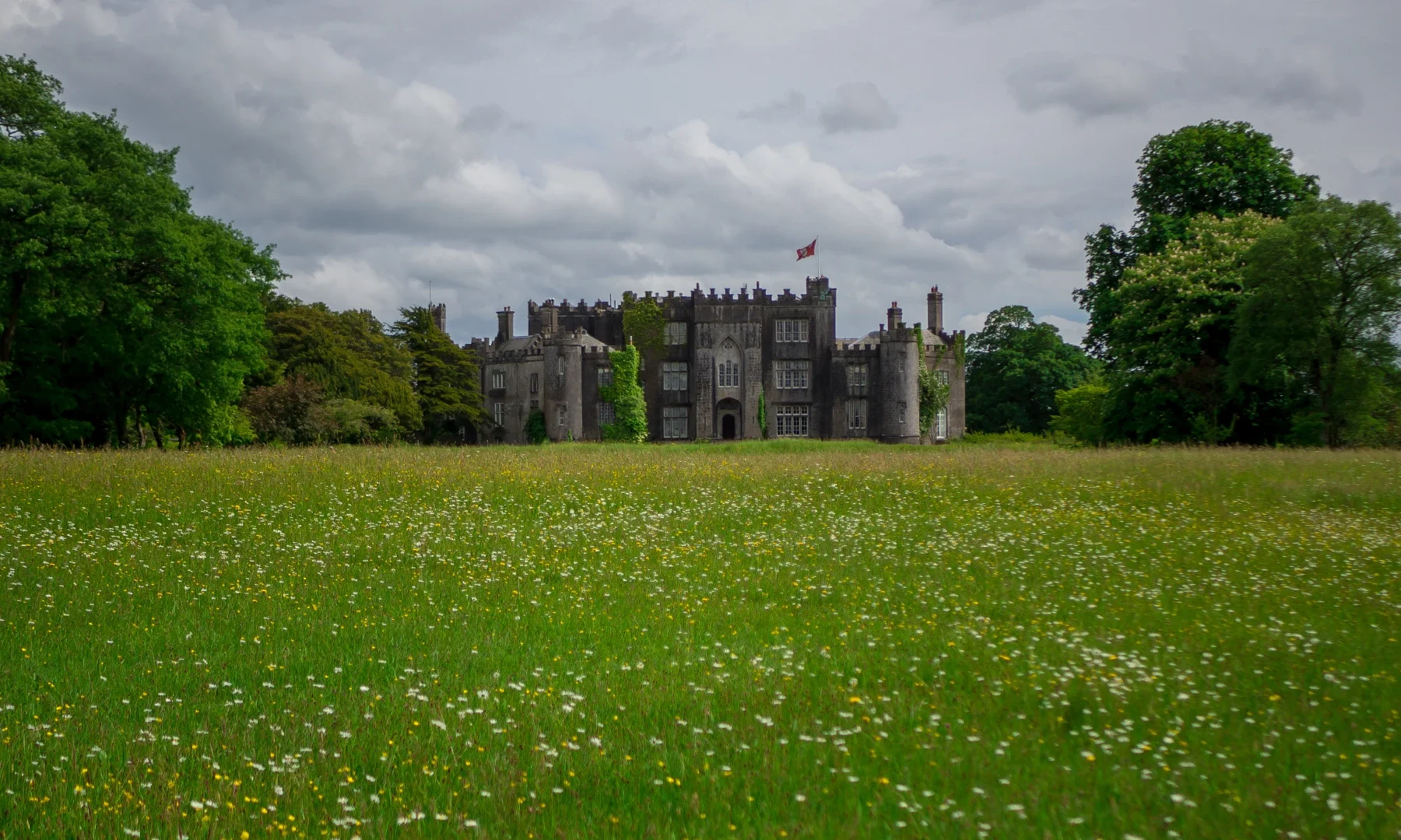 hero castle with grassy field