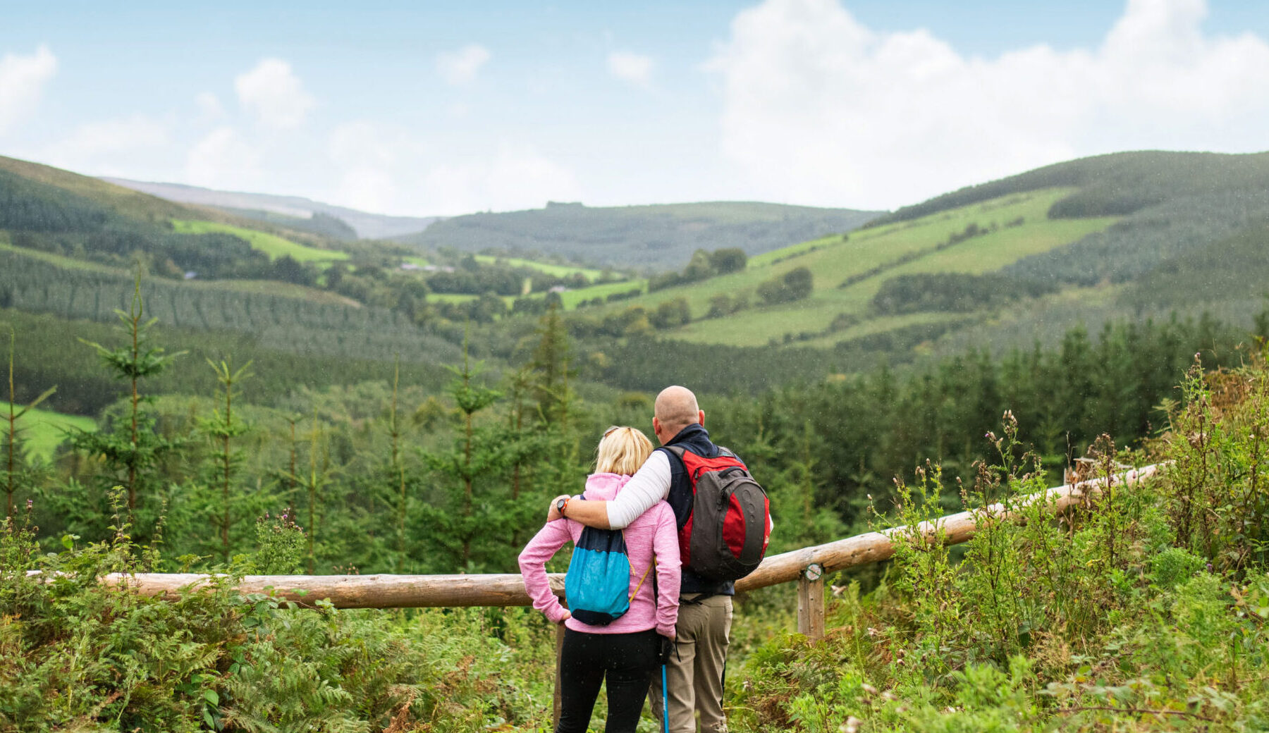 Fionn Mcann Slieve Bloom