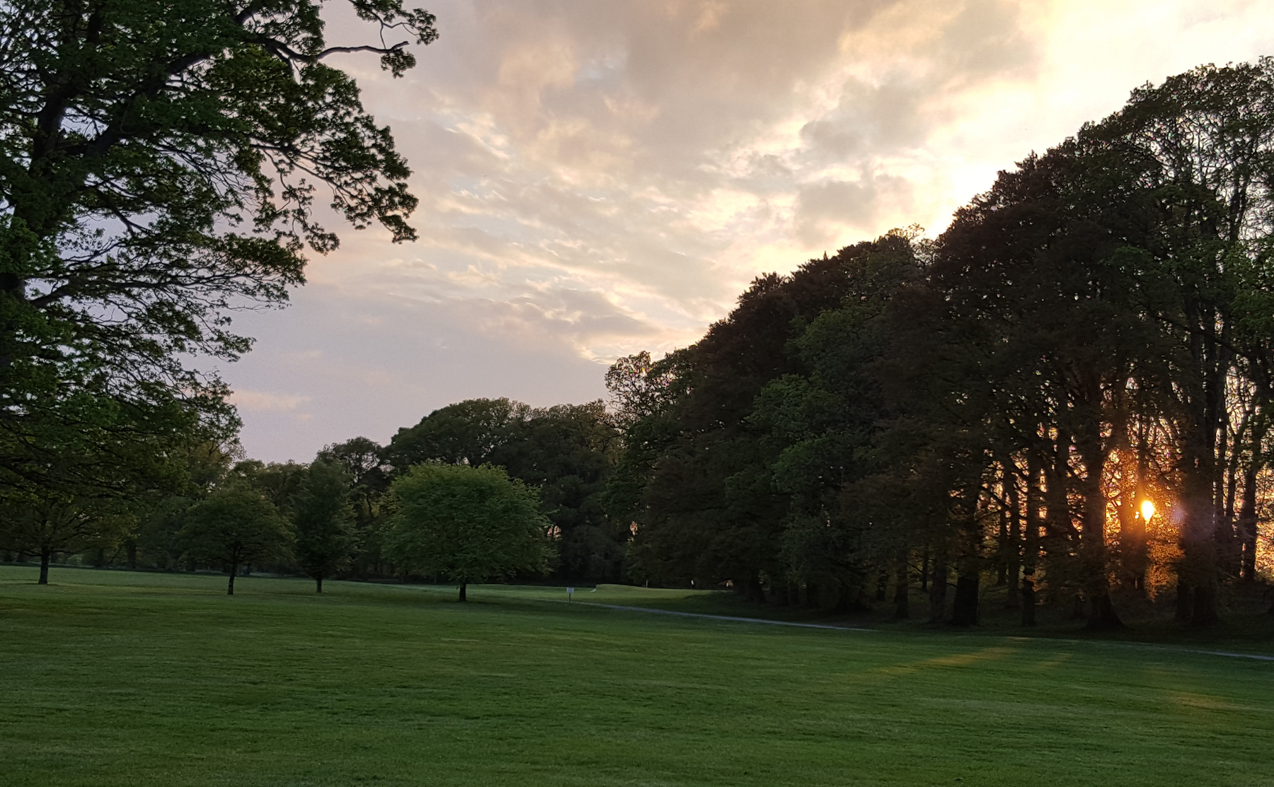 Tullamore Golf Club Banner