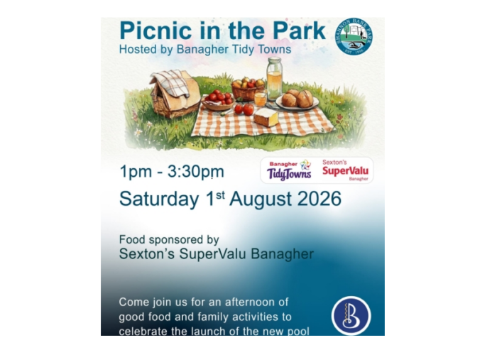 banagher picnic