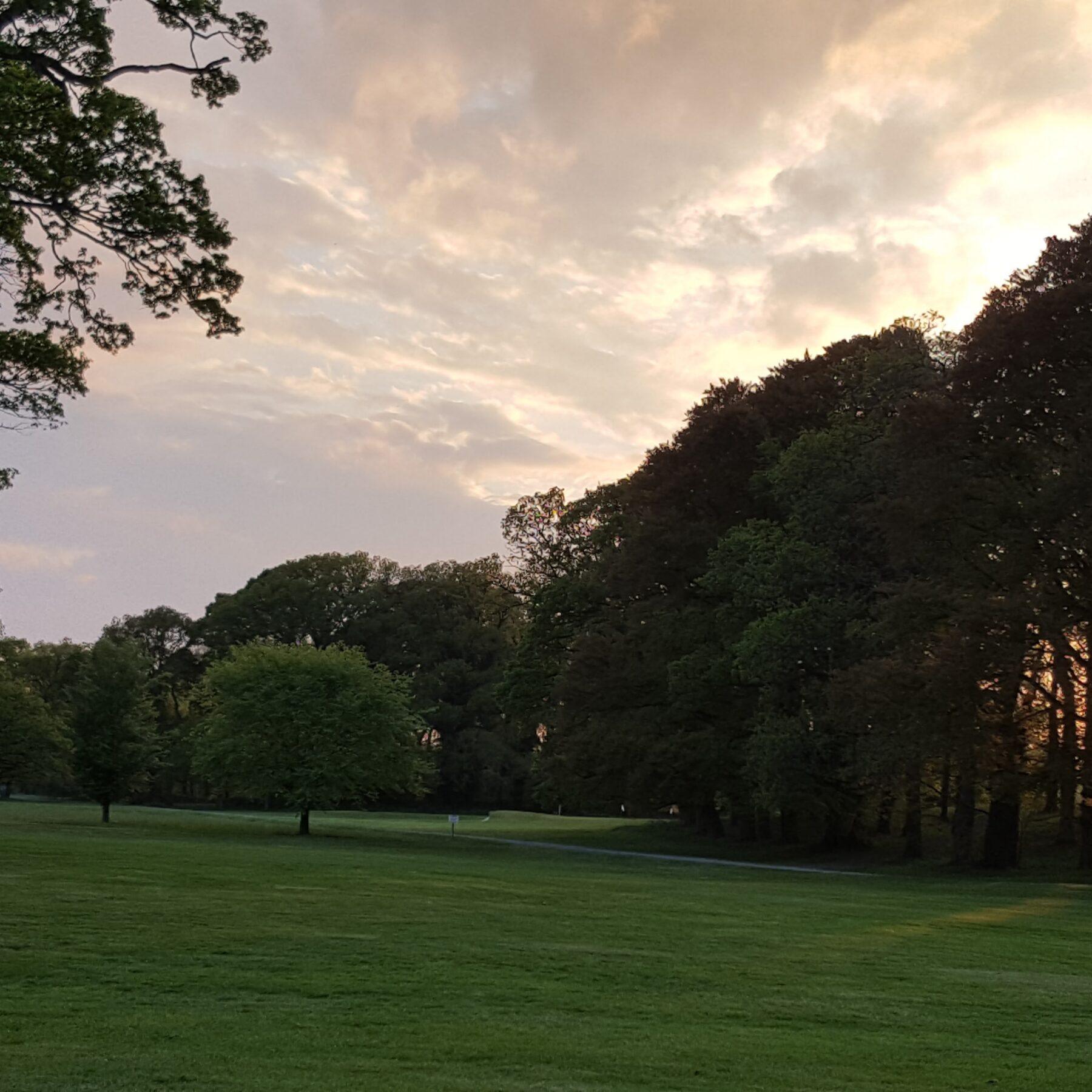 tull golf club open week